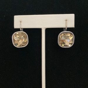 Smokey Gray Stone set in Silver Earrings